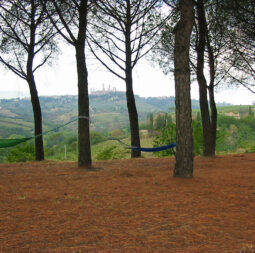 swing in the hammock in the shade of the pine forest looking at the medieval landscape of San Gimignano