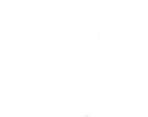 Montenidoli